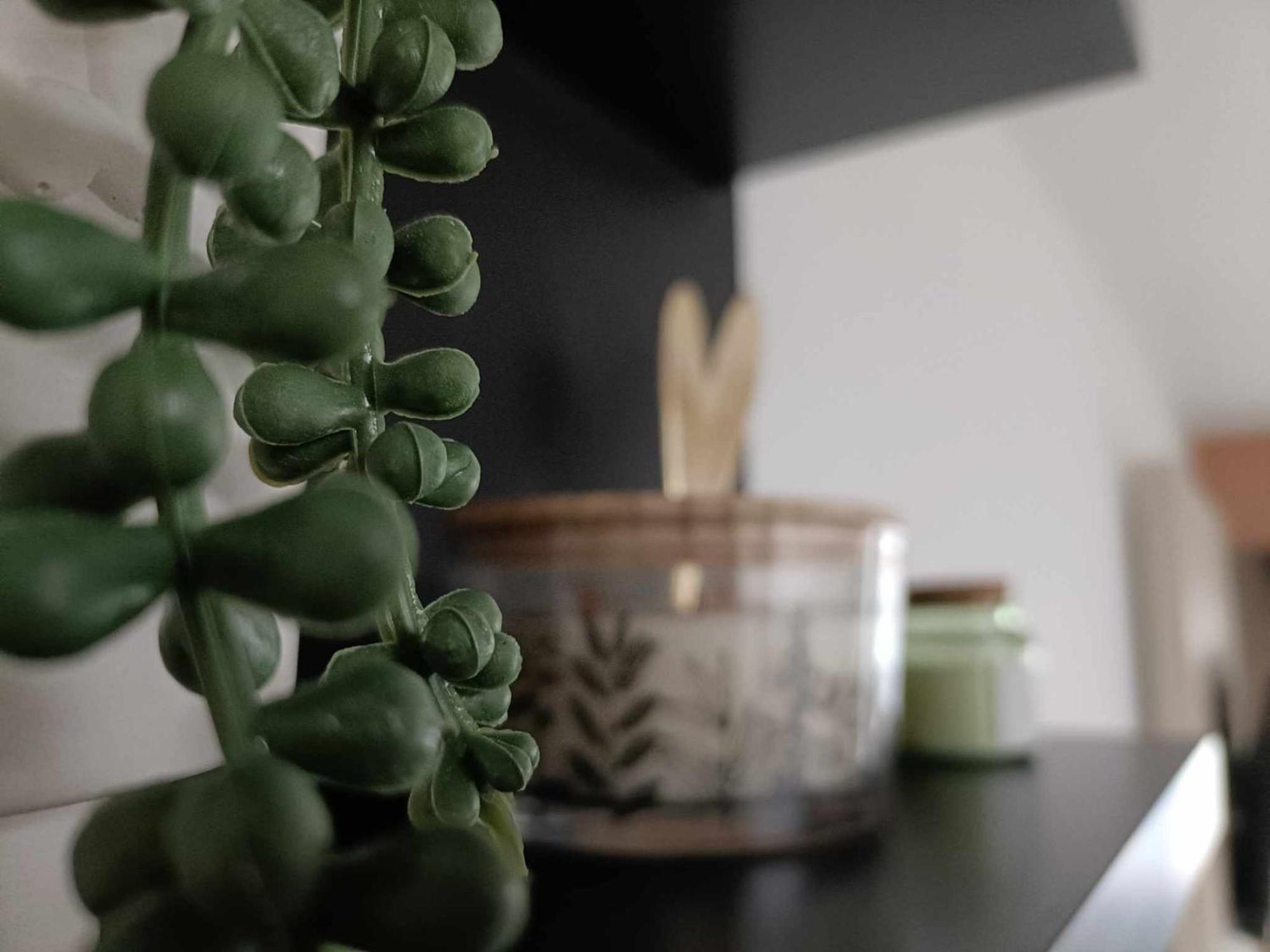 Le Studio La Louviere Ngoại thất bức ảnh